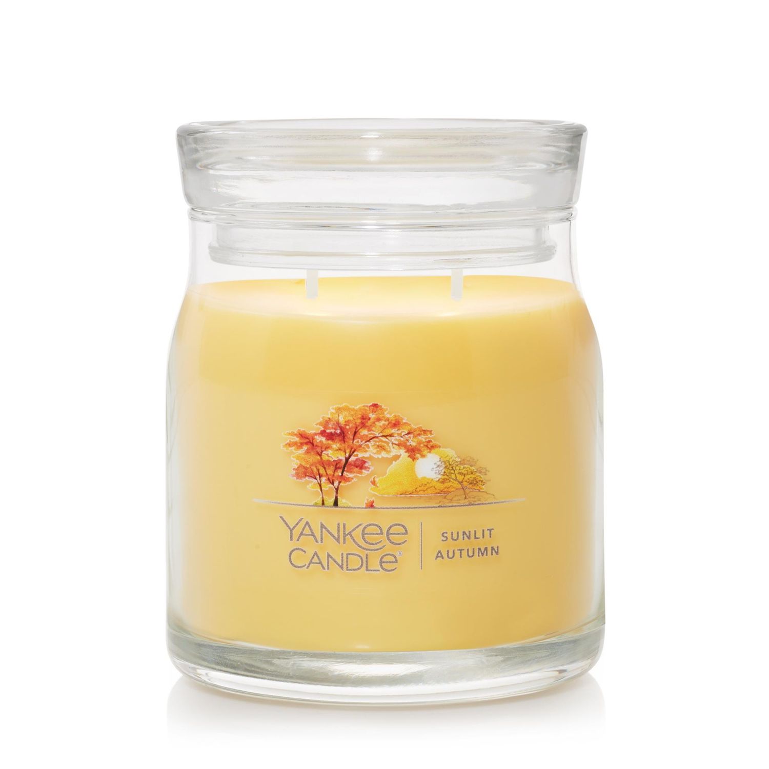 CANDLE YANKEE SIGNATURE MEDIUM JAR SUNLIT AUTUMN