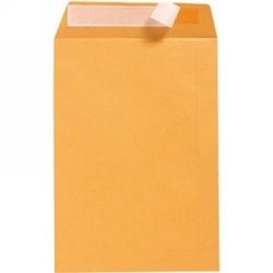 ENVELOPE C4 Strip Seal Gold Pocket Pack 324x229mm RETAIL ENVELOPE C4 Strip Seal Gold Pocket Pack 324x229mm RETAIL