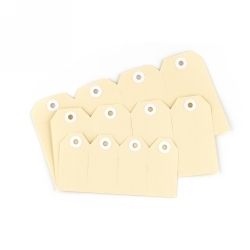 SP- SHIPPING TAG AVERY #8 160X80 BUFF BX1000