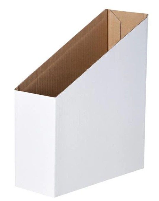 SP- MAGAZINE BOX ELIZABETH RICHARDS 28CMHX9CMWX24.5CMD  WHITE