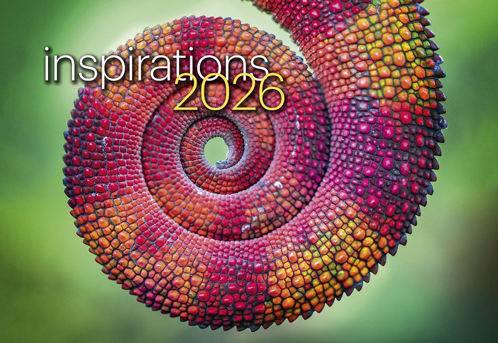 CALENDAR 2026 EASY2C A4 STITCHED INSPIRATIONS