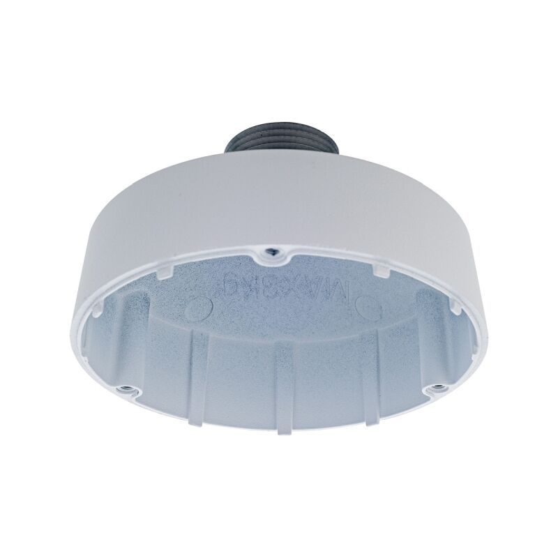 D-Link Pendant Cap Type D1 for Vigilance Cameras