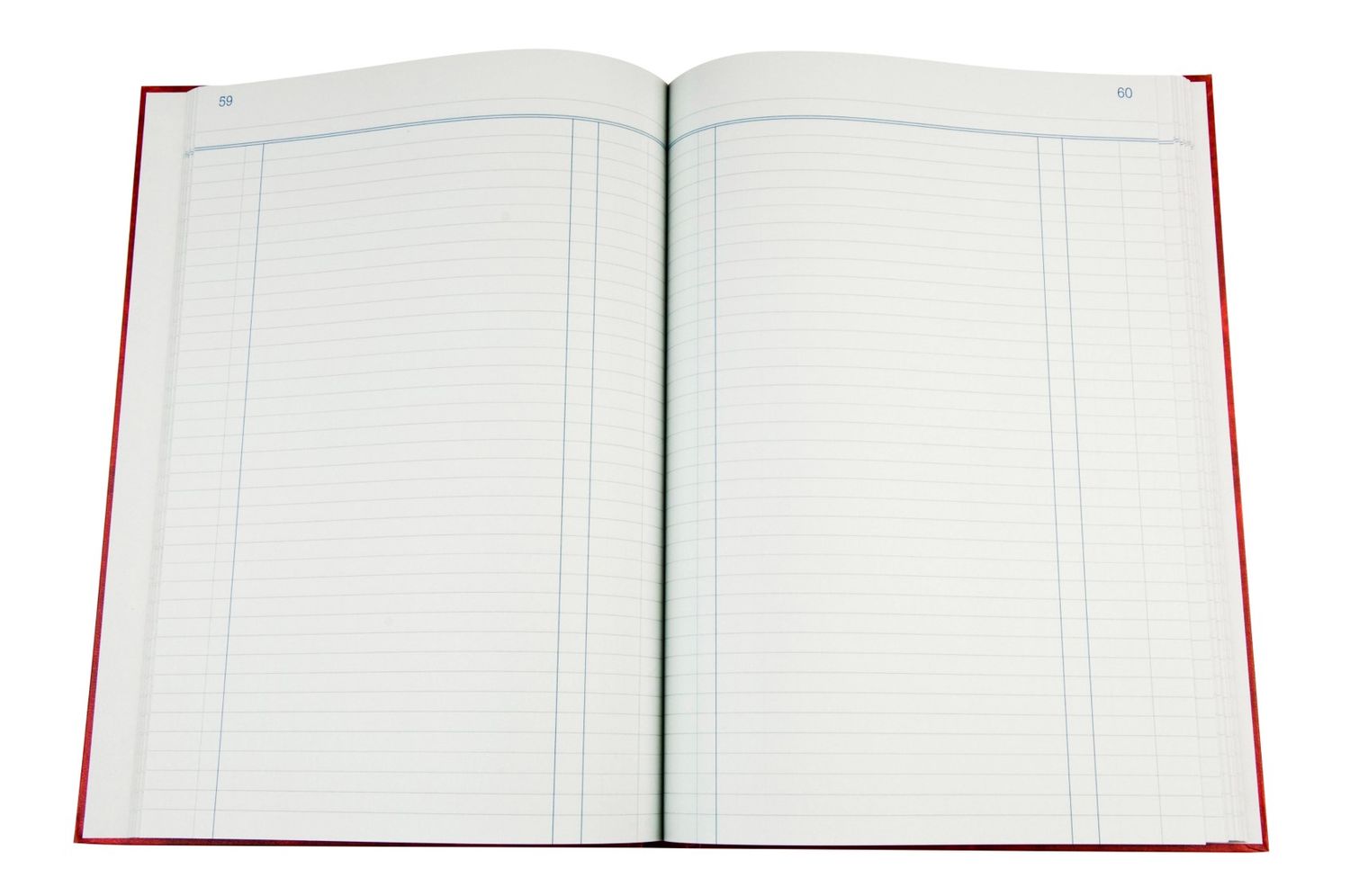 ACCOUNT BOOK COLLINS 3880 DAY