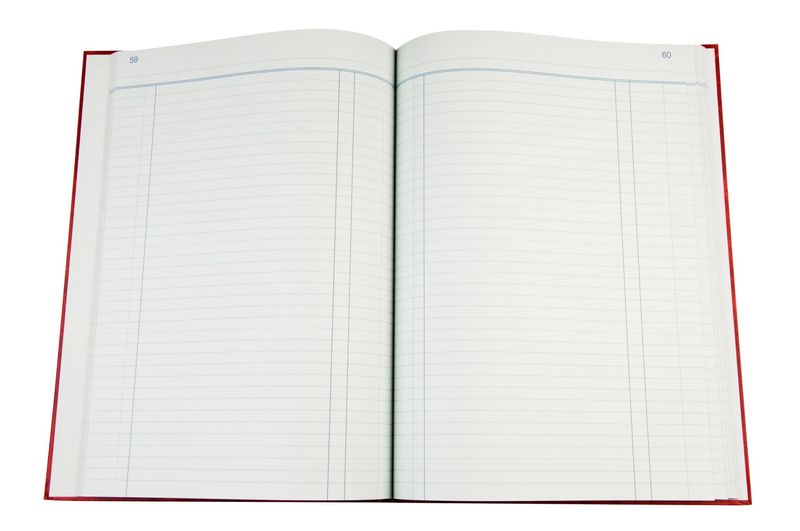 ACCOUNT BOOK COLLINS 3880 DAY