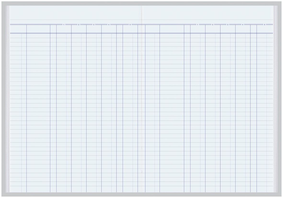 ACCOUNT BOOK COLLINS 3880 5MC