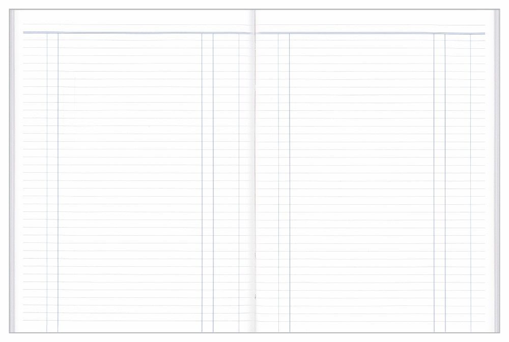 ACCOUNT BOOK COLLINS A24 DAY