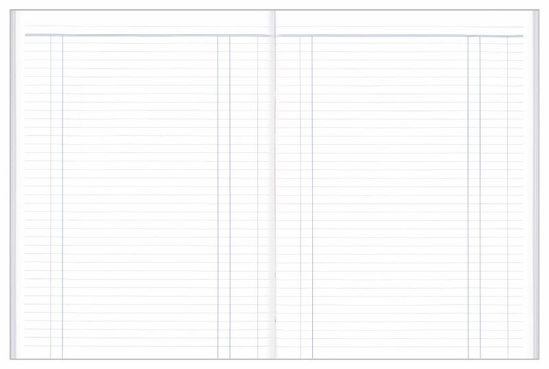 ACCOUNT BOOK COLLINS A24 DAY