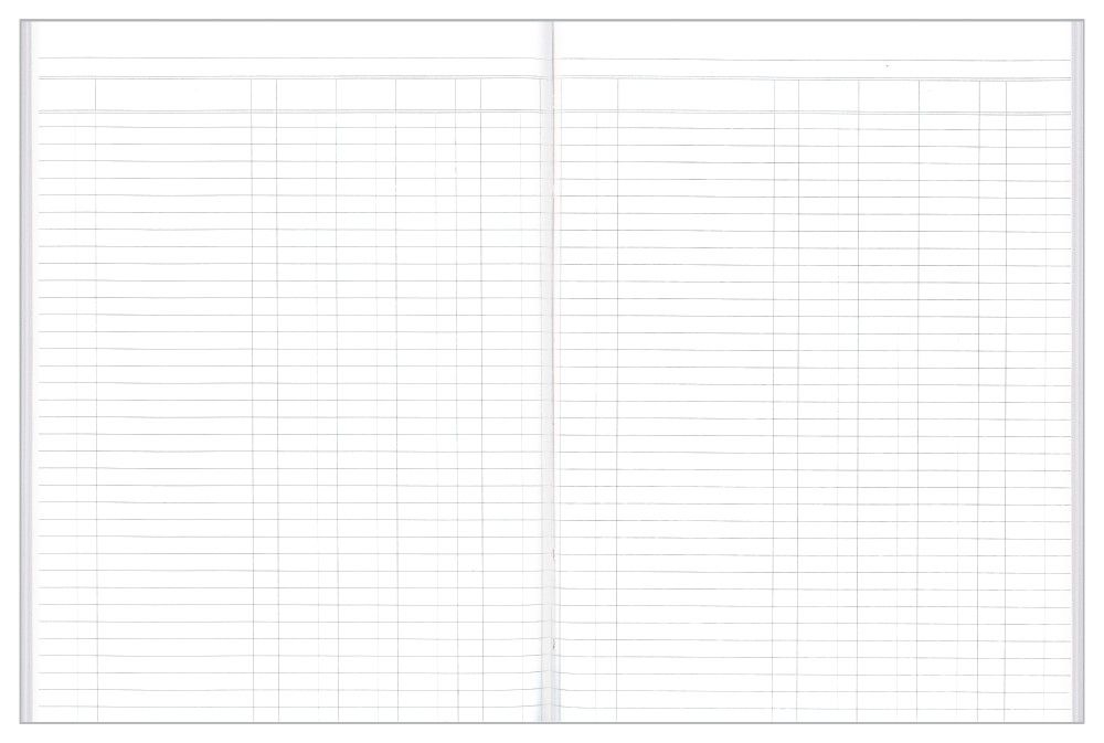 ACCOUNT BOOK COLLINS A24 4MC