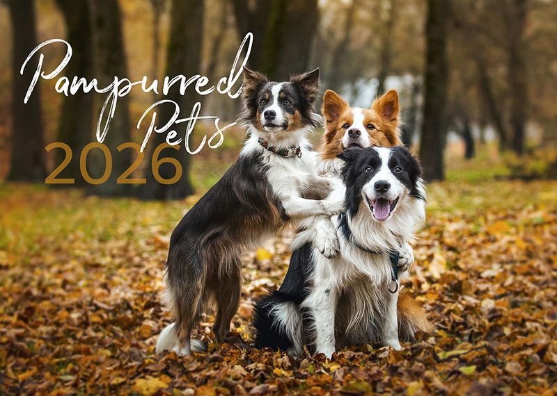 CALENDAR 2026 EASY2C 337X240MM WIRO PAMPURRED PETS