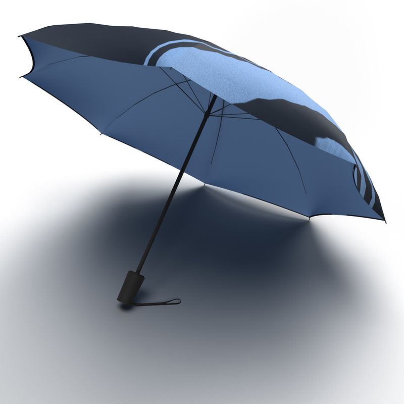 UMBRELLA JUMBLE & CO DOUBLE LAYERED UPS & DOWNS ONE BUTTON AUTO POLY BLUE