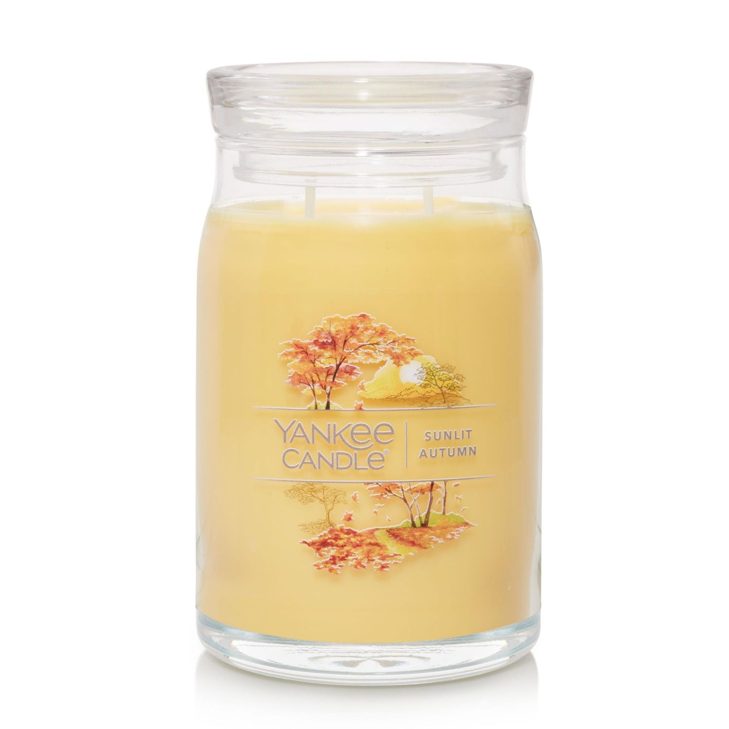 CANDLE YANKEE SIGNATURE LARGE JAR SUNLIT AUTUMN