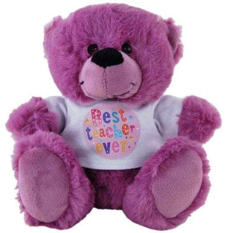 SOFT TOY ELKA 18CM BEAR BEST TEACHER EVER SHIRT MAUVE