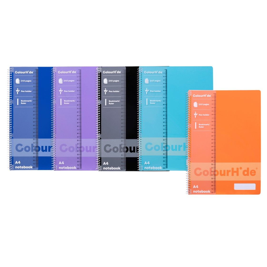 NOTEBOOK COLOURHIDE A4 ASST 240PG