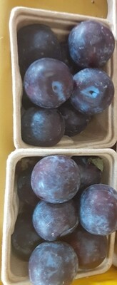 Farmers Market: Basket of Purple Plums