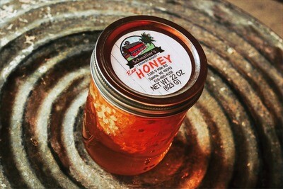HONEY WITH COMB PINT