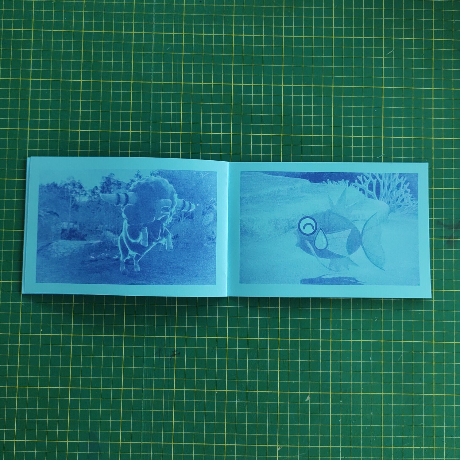 ARS POKÉNATURA