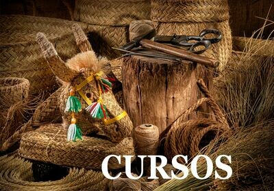 Cursos