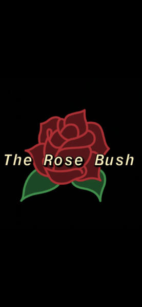 The Rose Bush