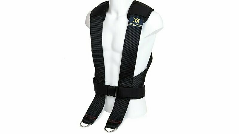 Harness
