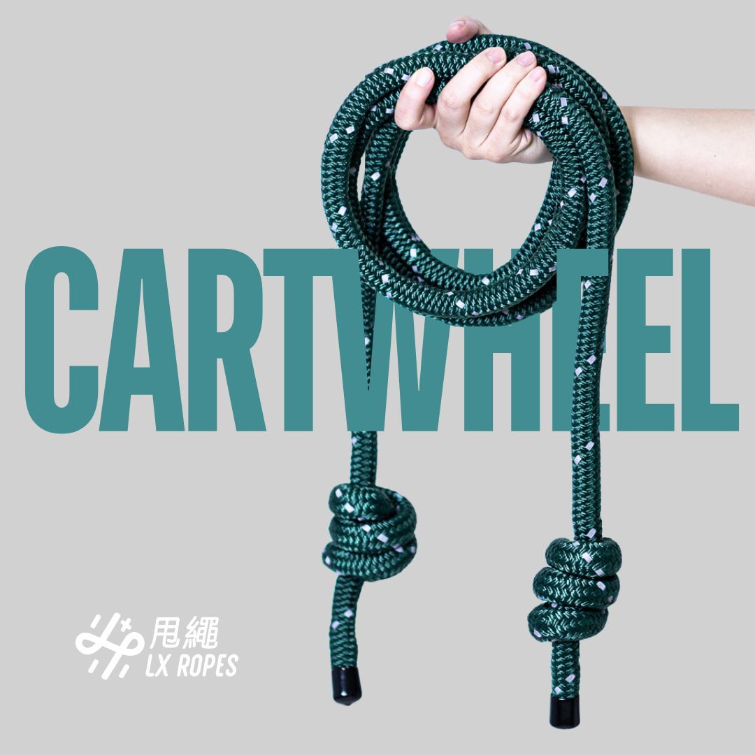 Reflective Series – Cartwheel