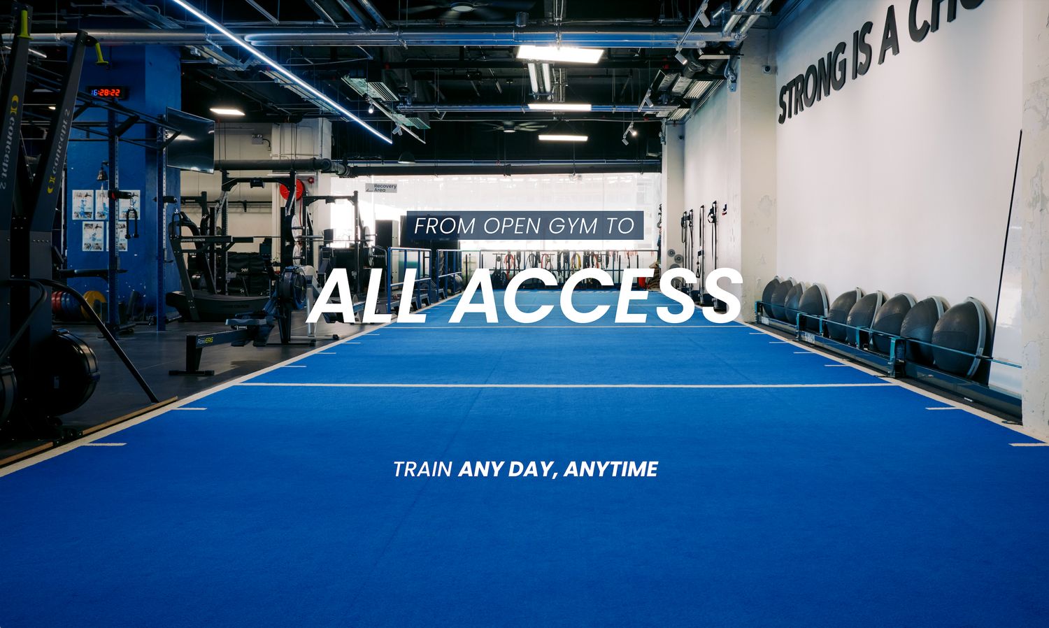 All Access Founding Athletes - Full Year ++ Exclusive Offer!