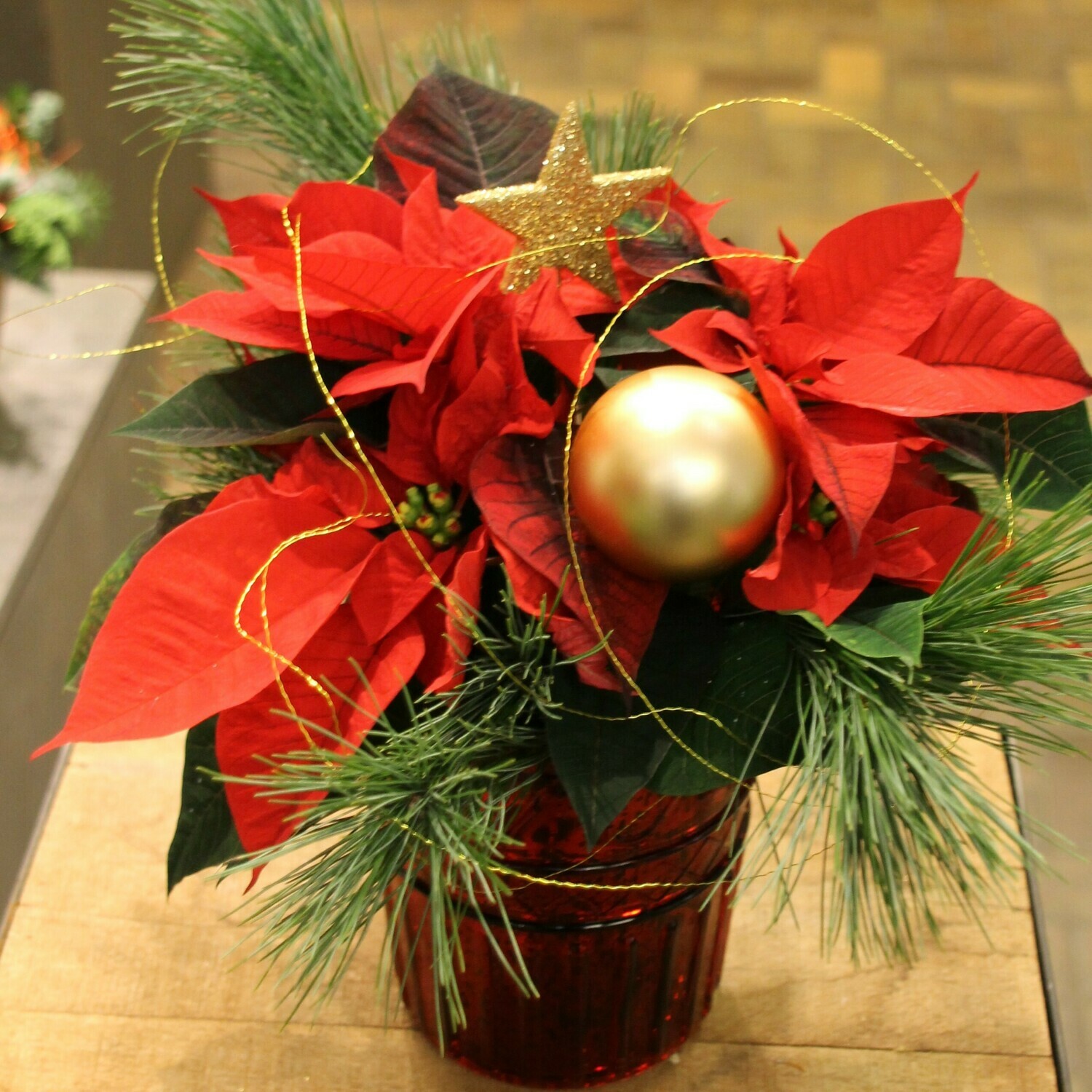 Weihnachtsstern im Keramikgefäß geschmückt mit Kiefer u. Kugel