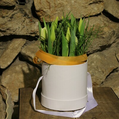 Tulpenbox