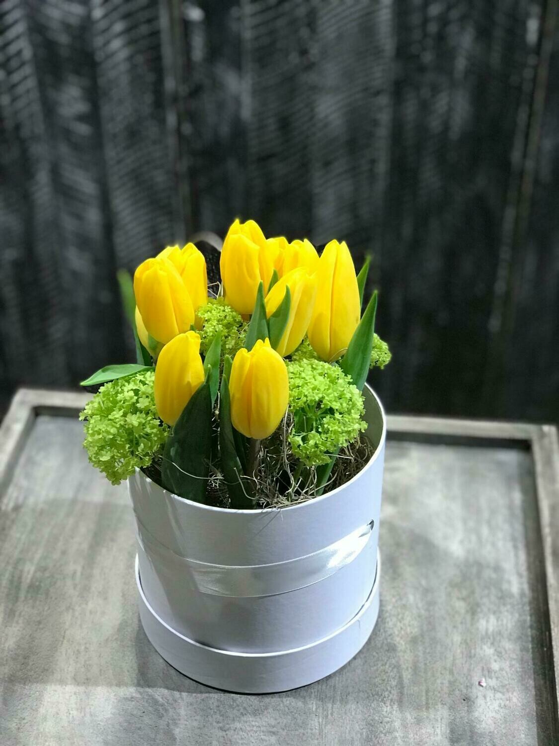 Tulpen in the Box        2073