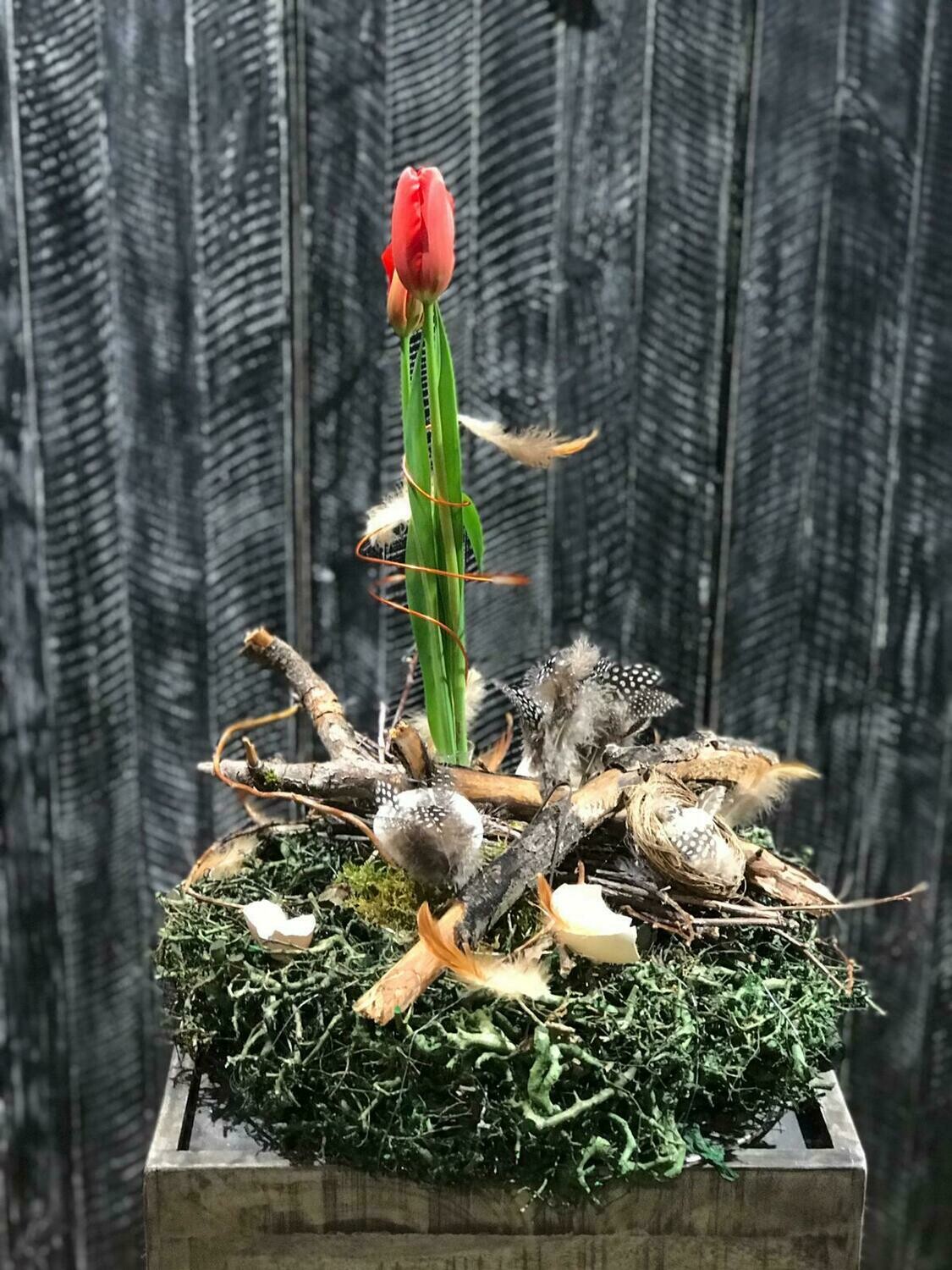 Osternest mit Tulpe