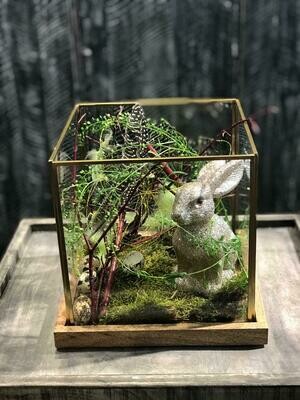Hase im Aquarium ;-)