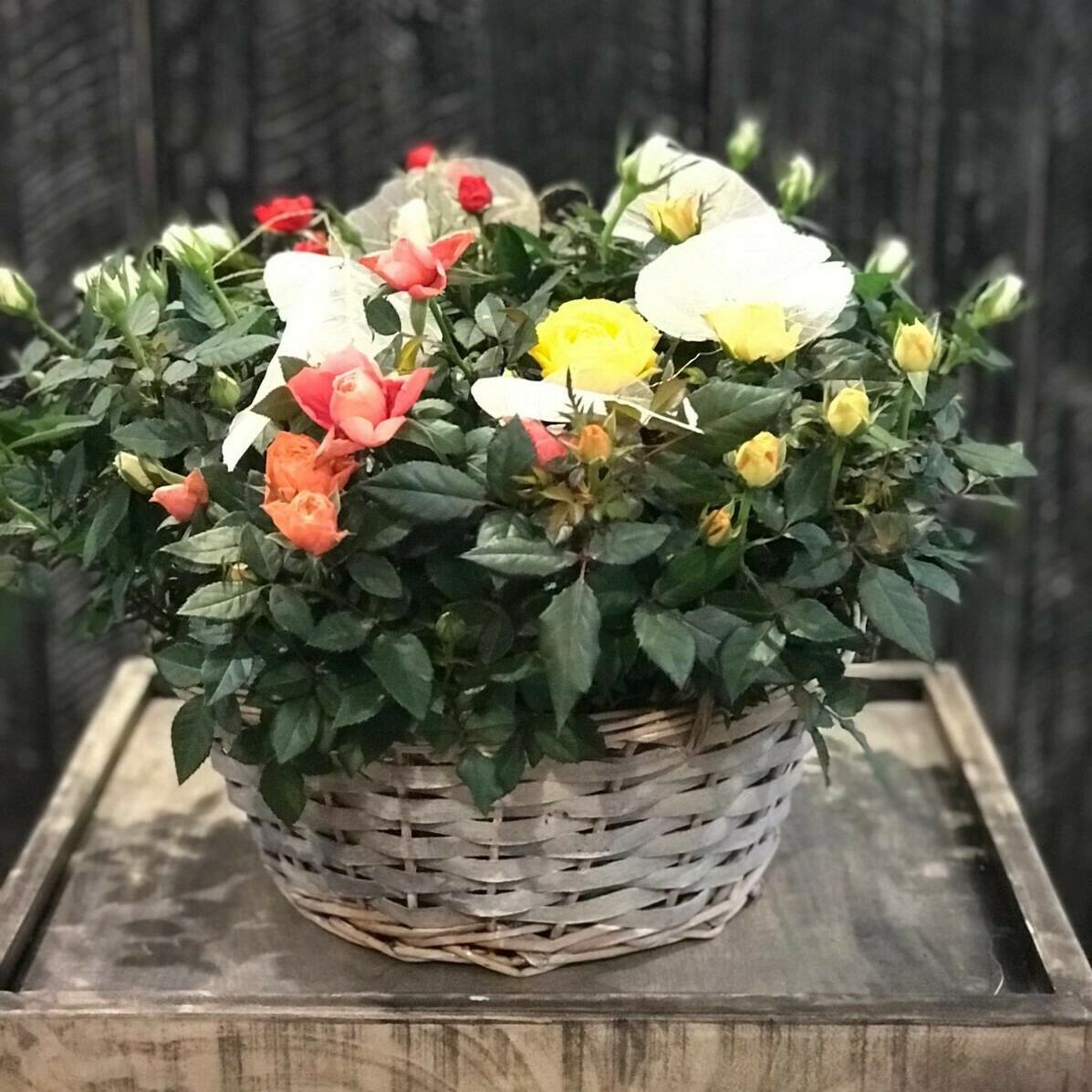 Rosenkorb