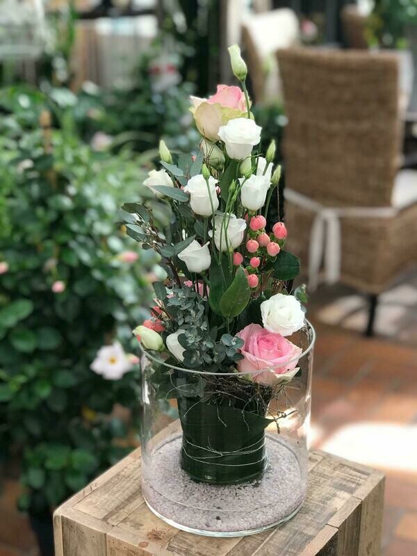 Glasfüllungs Abo 10 Glasfüllungs Abo 10