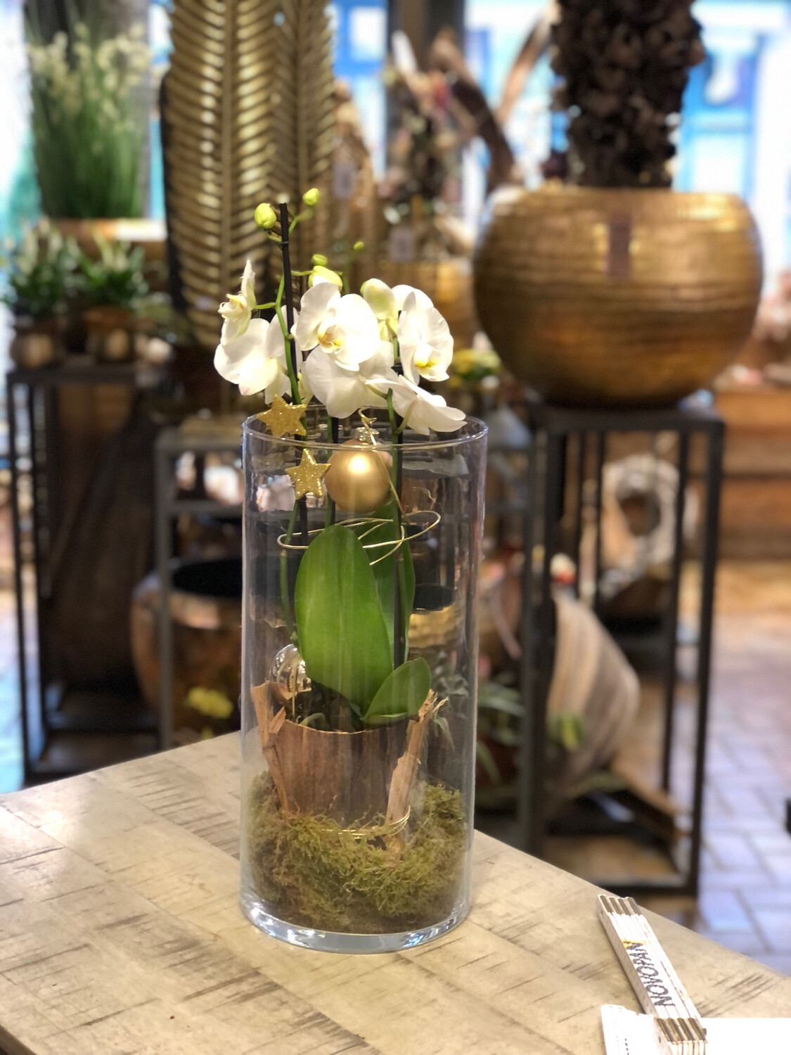 Glasevase mal mit Orchidee