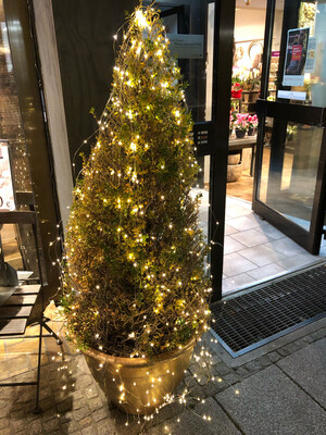 LED Lichterketten für den Garten