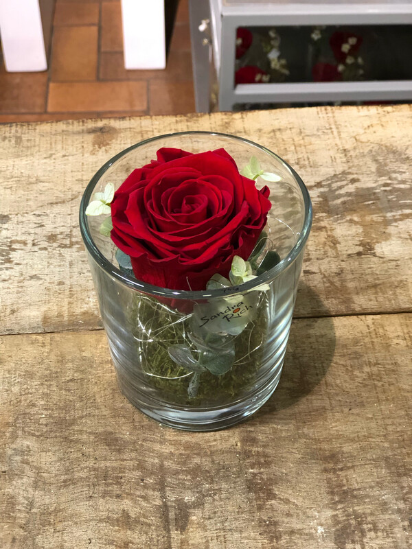 Single Glas