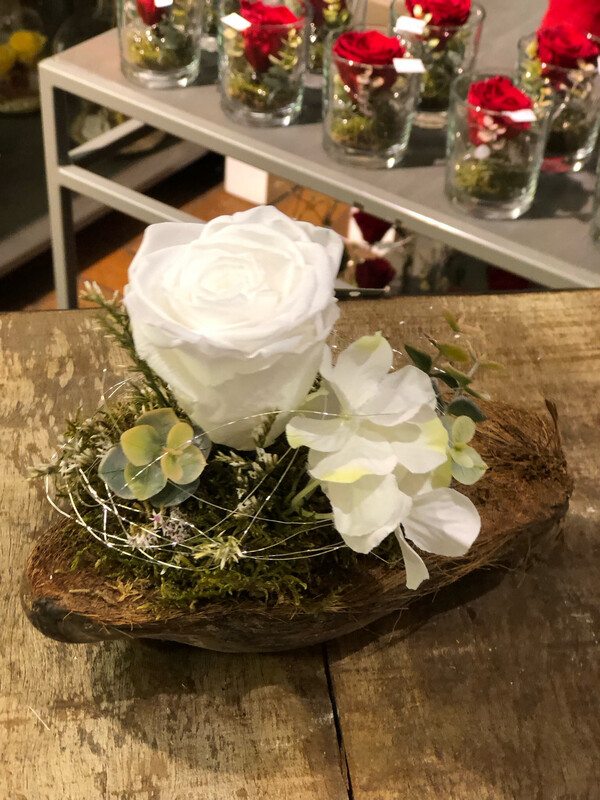 Rosennuss White