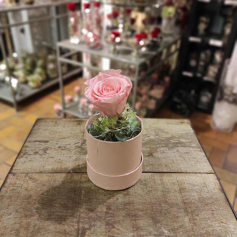 Schatulle Rosa