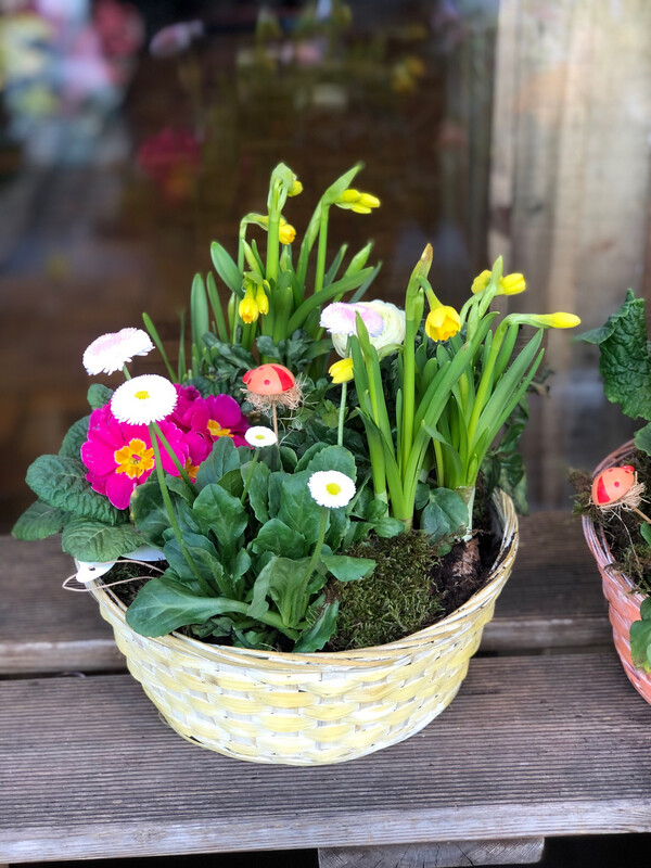 Frühlingskorb