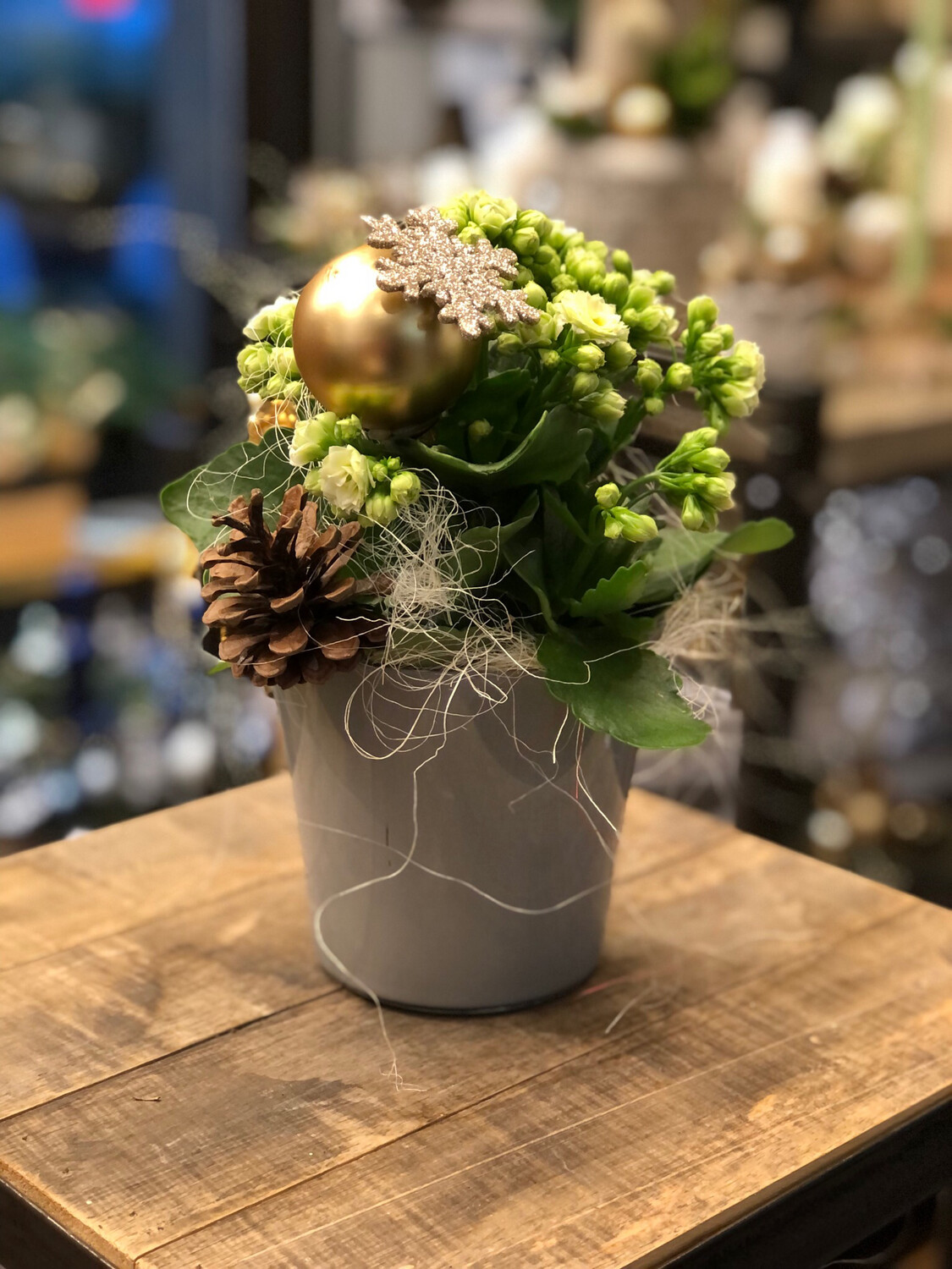 Kalanchoe im Glasgefäß