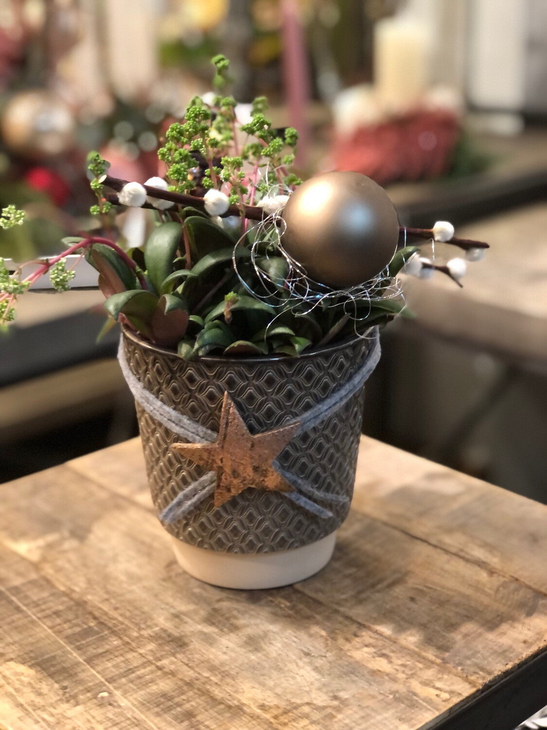 Crassula mit Glaskugelim Keramikgefäße