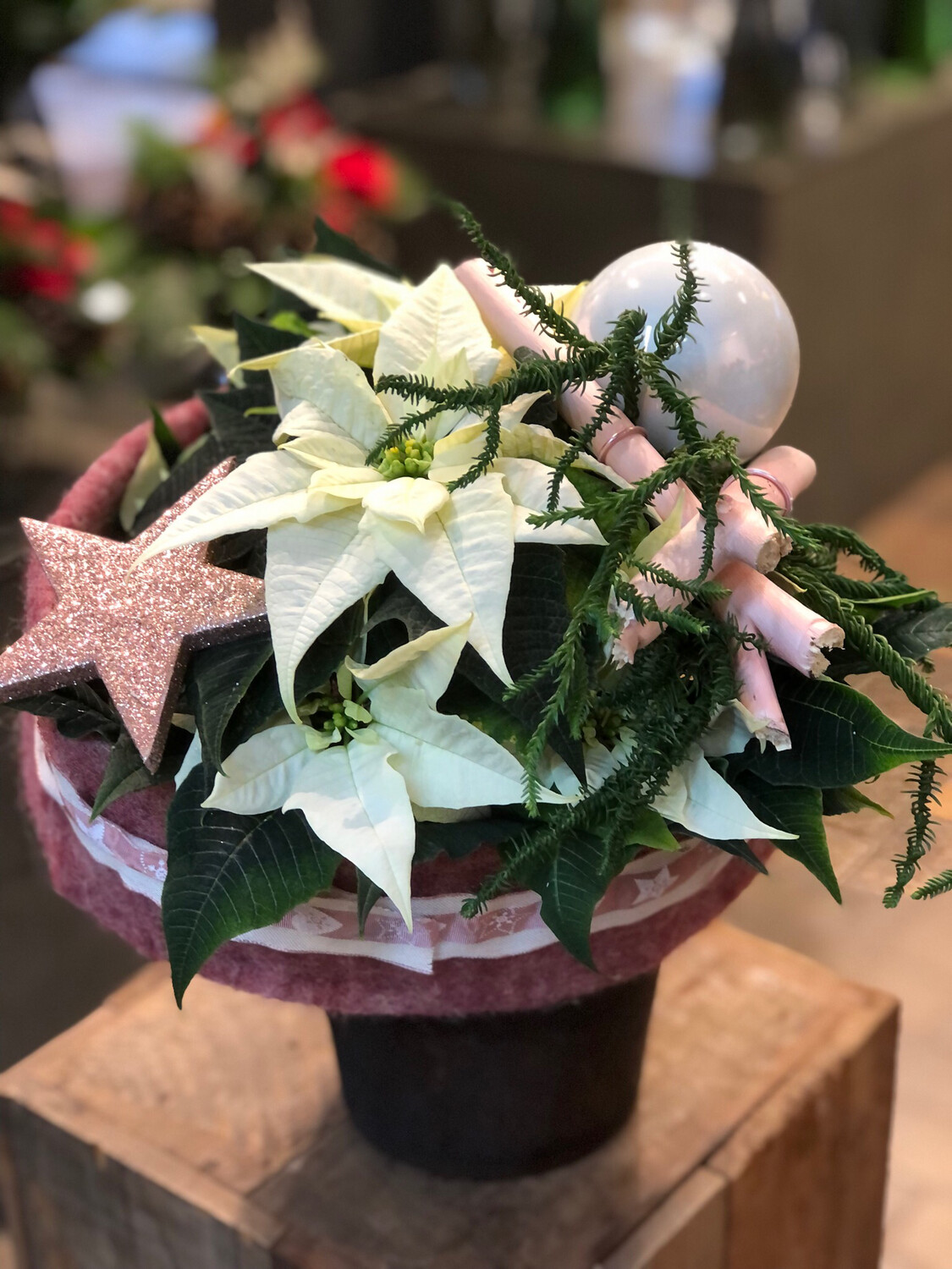 Weihnachtsstern in Filznest