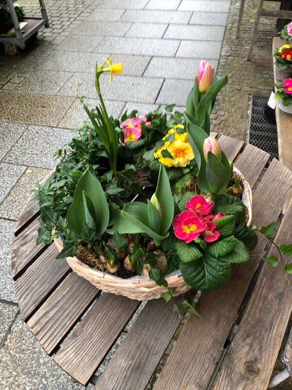 Frühlingskranz bepflanzt 40cm