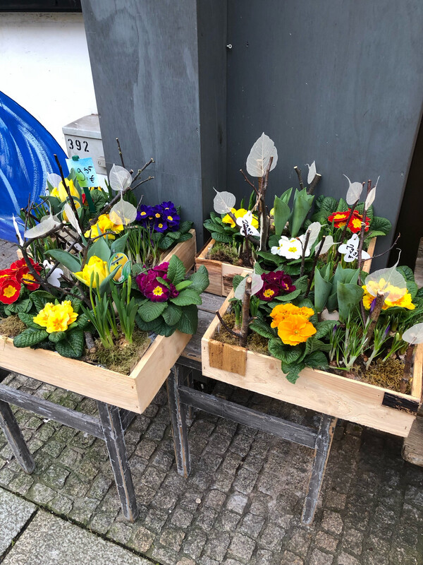 Frühlingskiste Premium