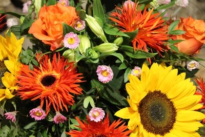 Blumenabo