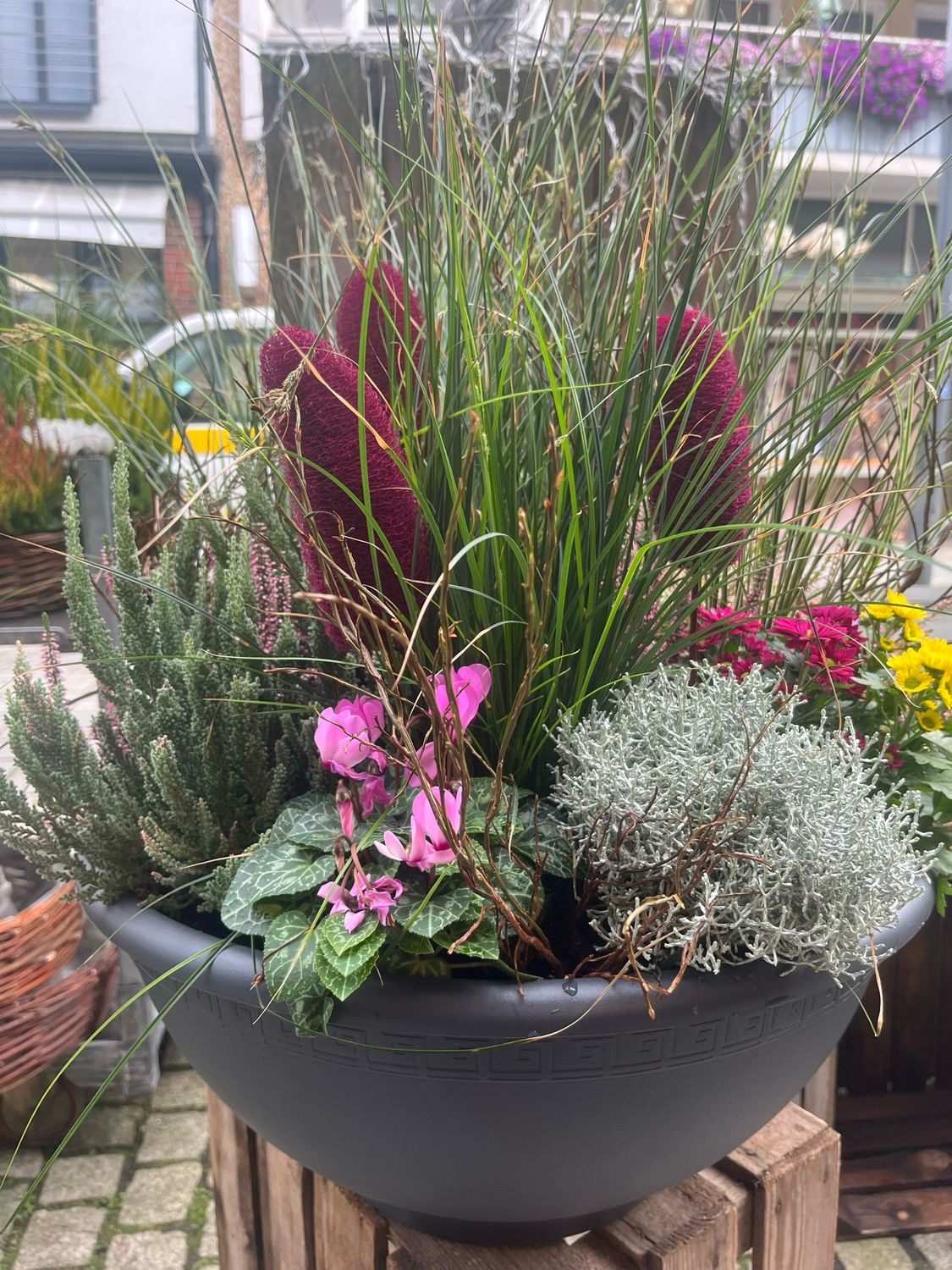 Herbstschein Herbstschein