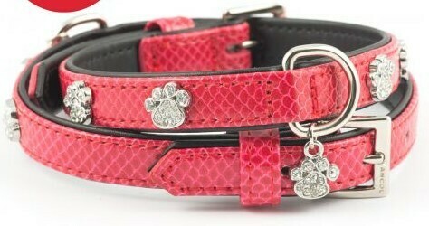 SPARKLY PAW CROCK COLLAR