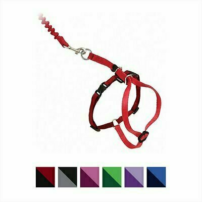 PetSafe Come With Me Kitty Harness &amp; Bungee Cat Leash - Red/Black (Medium)
