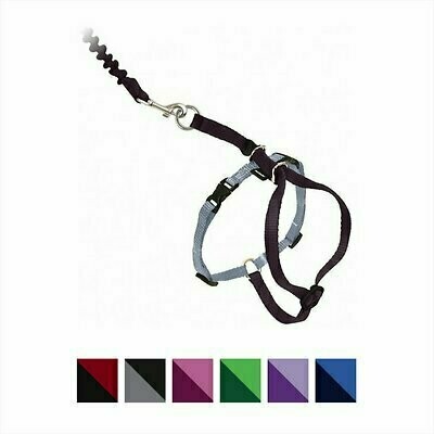 PetSafe Come With Me Kitty Harness &amp; Bungee Cat Leash - Black/Silver (Small)