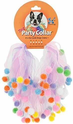 Charming Party Collar Medium