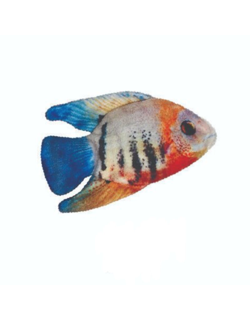 Kittybelles Angelfish Catnip Toy